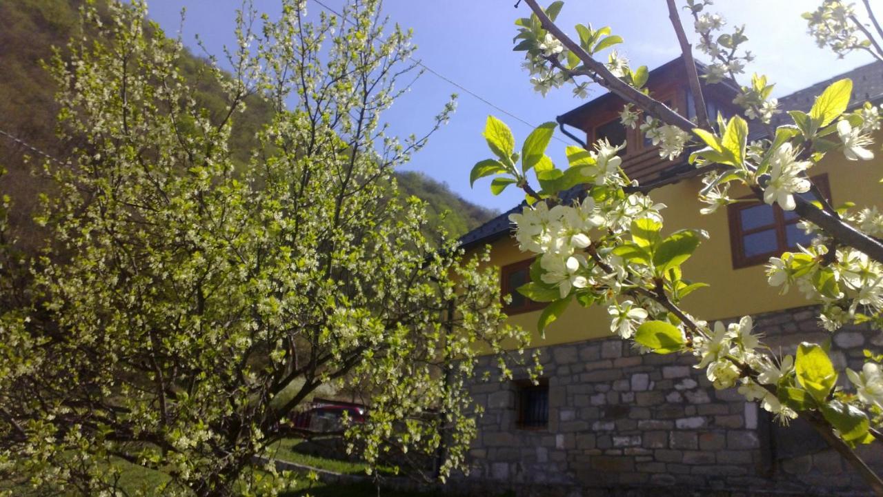 Guest House - Stari Javor B&B Prozor Экстерьер фото